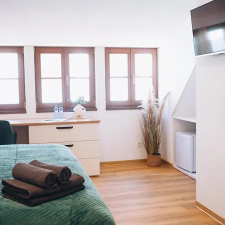 Guest house Tlusta Kachna Chrudim